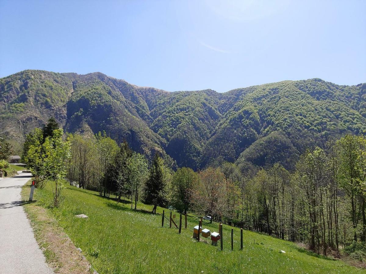 Ostello Del Parco Di Cicogna Hostel Buitenkant foto